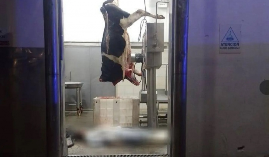 EMPLEADO MURIÓ CUANDO REALIZABA TAREAS DE DESPOSTE EN UN FRIGORÍFICO