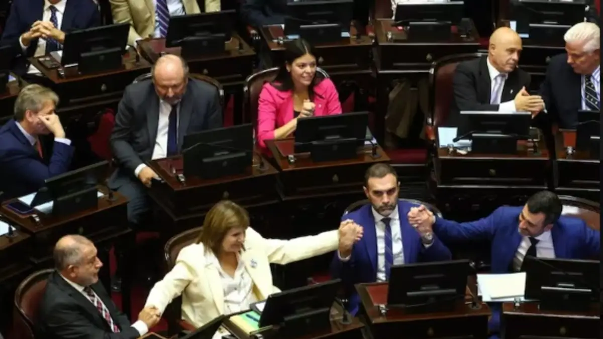BULLRICH SE DIFERENCIA DE MILEI: NO APOYARÁ EL RETIRO DEL PLIEGO DE UNA CANDIDATA A JUEZA